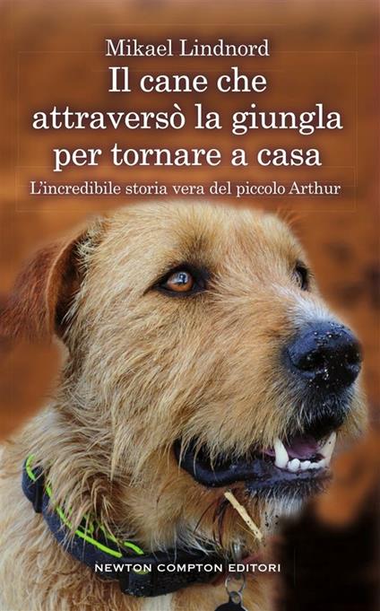 Il cane che attraversò la giungla per tornare a casa. L'incredibile storia vera del piccolo Arthur - Mikael Lindnord,C. Verardi - ebook