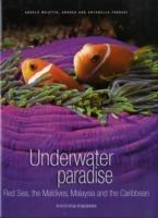 Underwater paradise. Ediz. illustrata