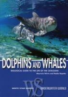 Dolphins and whales. Ediz. illustrata