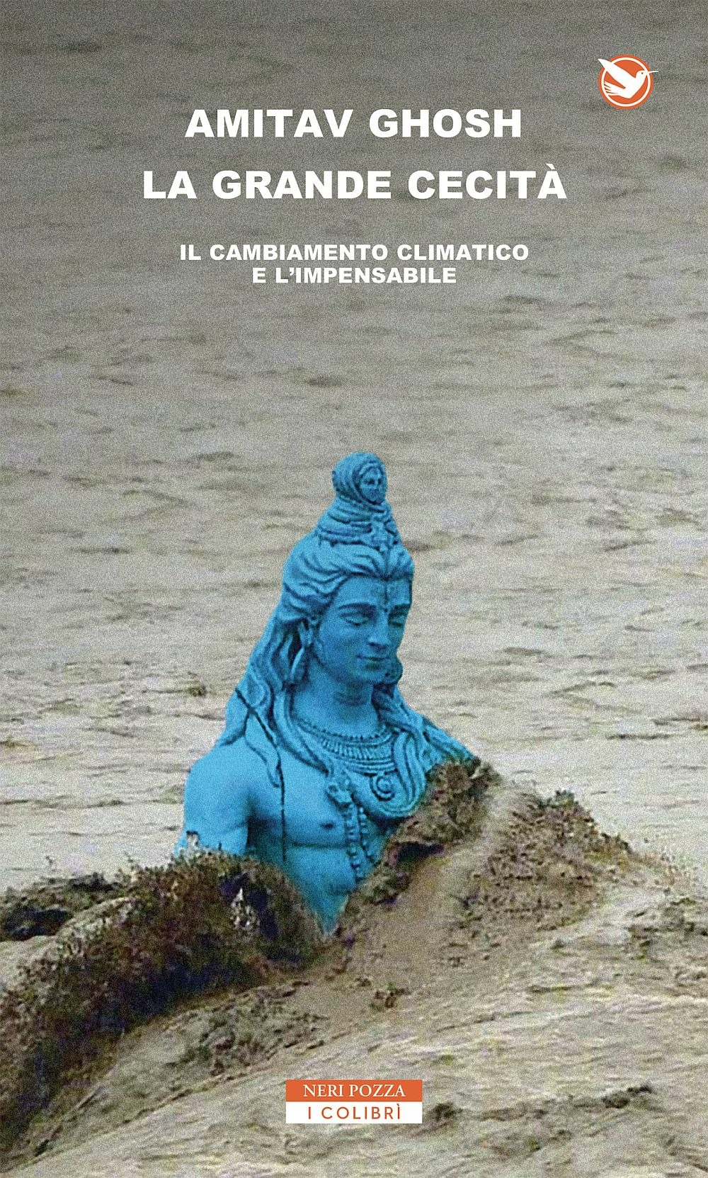 Libraccio