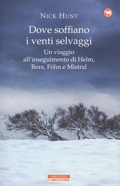 Dove soffiano i venti selvaggi. Un viaggio all'inseguimento di Helm, Bora, Föhn e Mistral - Nick Hunt - copertina