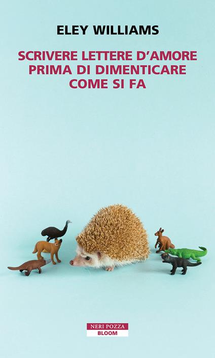 Scrivere lettere d’amore prima di dimenticare come si fa - Eley Williams - copertina