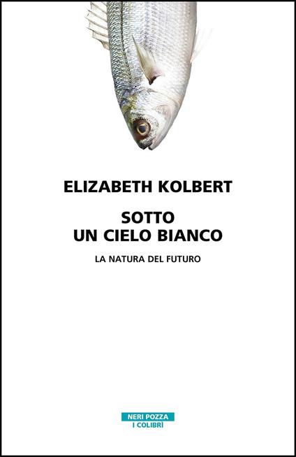 Sotto un cielo bianco. La natura del futuro - Elizabeth Kolbert,Raffaella Vitangeli - ebook