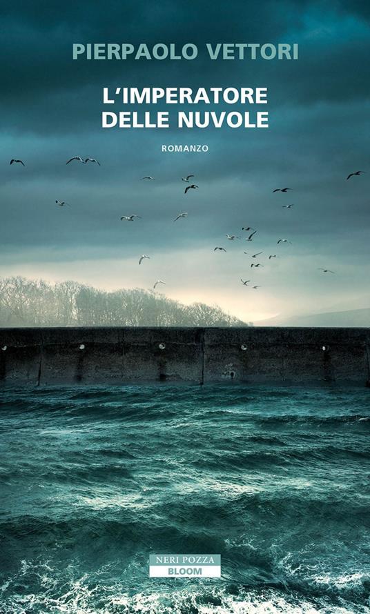 L' imperatore delle nuvole - Pierpaolo Vettori - ebook