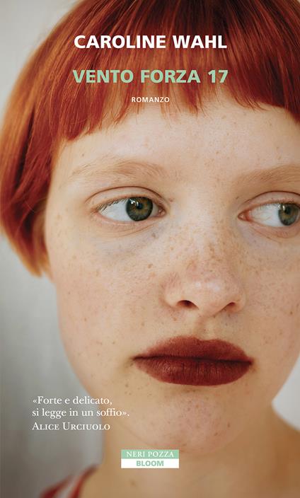 Vento forza 17 - Caroline Wahl - copertina