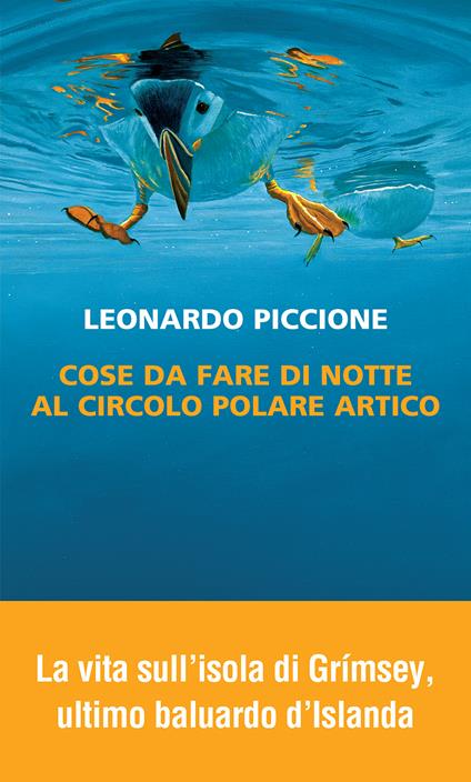Cose da fare di notte al circolo polare artico - Leonardo Piccione - copertina