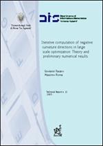 Iterative computation of negative curvative directions in large scale optimization: theory and preliminary numerical results
