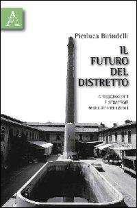 Il futuro del distretto. Atteggiamenti e strategie degli attori locali - Pierluca Birindelli - copertina