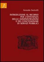 Introduzione al ricorso per l'efficienza delle amministrazioni e dei concessionari di servizi pubblici