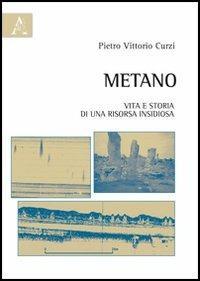 Metano. Vita e storia di una risorsa insidiosa - Pietro V. Curzi - copertina