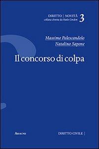 Il concorso di colpa - Massimo Palescandolo,Natalino Sapone - copertina