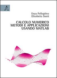 Calcolo numerico. Metodi ed applicazioni usando Matlab - Enza Pellegrino,Elisabetta Santi - copertina