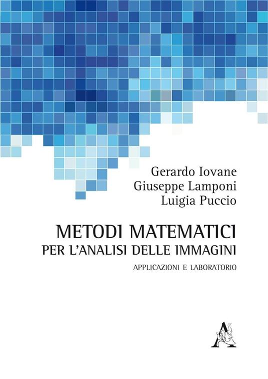 Metodi matematici per l'analisi delle immagini. Applicazioni e laboratorio - Gerardo Iovane,Giusppe Lamponi,Luigia Puccio - copertina