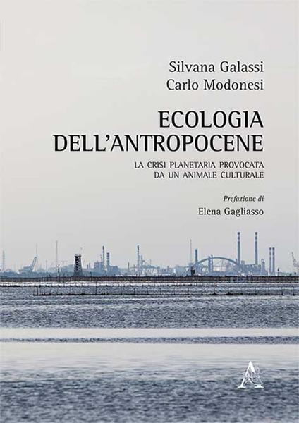 Ecologia dell'antropocene. La crisi planetaria provocata da un animale cultuale - Silvana Galassi,Carlo Modonesi - copertina