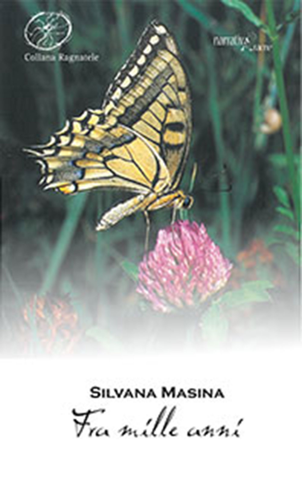 Nocilli distribuzione libri