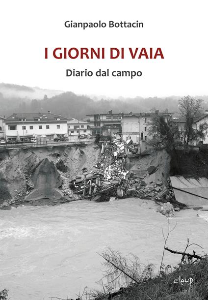 I giorni di Vaia. Diario dal campo - Gianpaolo Bottacin - copertina