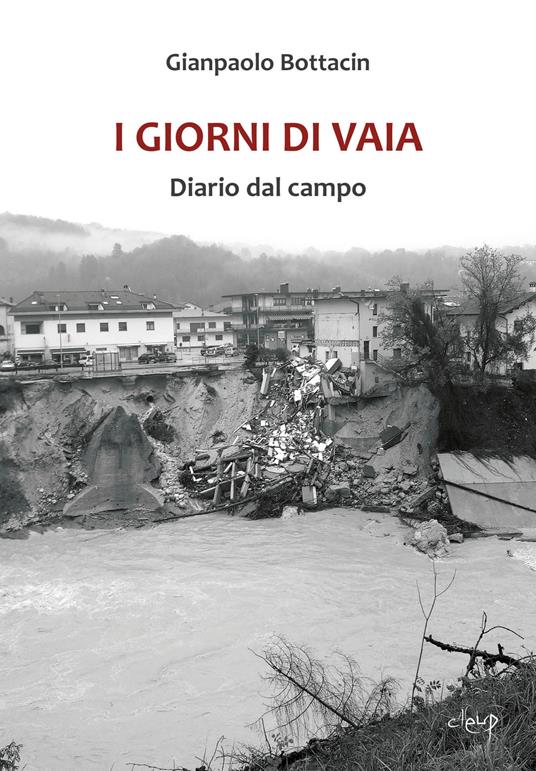 I giorni di Vaia. Diario dal campo - Gianpaolo Bottacin - copertina