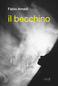 Il becchino