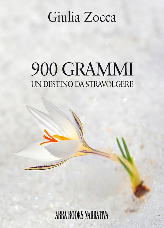 900 grammi, un destino da stravolgere - Giulia Zocca - copertina
