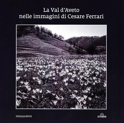 La Val d'Aveto nelle immagini di Cesare Ferrari. Ediz. illustrata - copertina