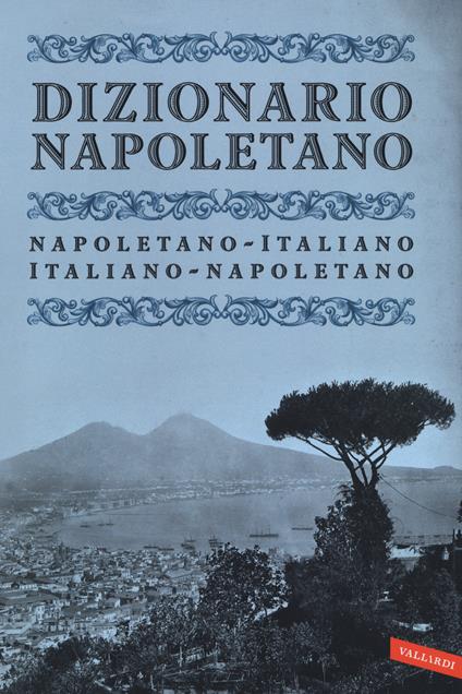 Dizionario napoletano. Nuova ediz. - copertina