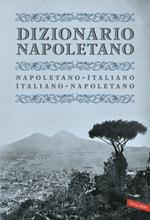 Dizionario napoletano