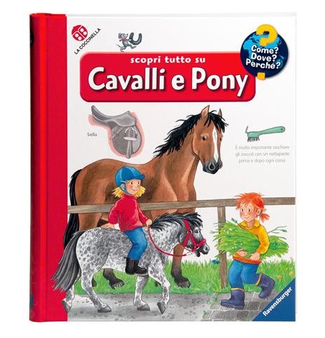 Scopri tutto su cavalli e pony! Ediz. a colori - Andrea Erne - copertina