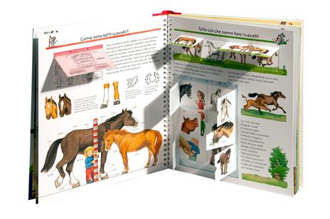 Scopri tutto su cavalli e pony! Ediz. a colori - Andrea Erne - 4