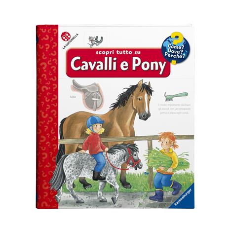 Scopri tutto su cavalli e pony! Ediz. a colori - Andrea Erne - 2