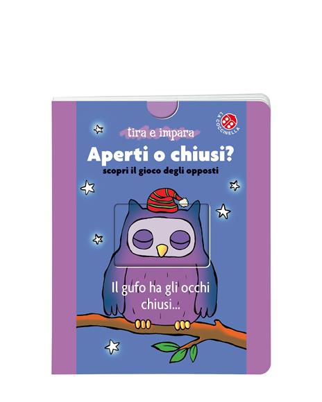 Aperti o chiusi? Scopri il gioco degli opposti. Ediz. a colori - Lucia Salemi - 2