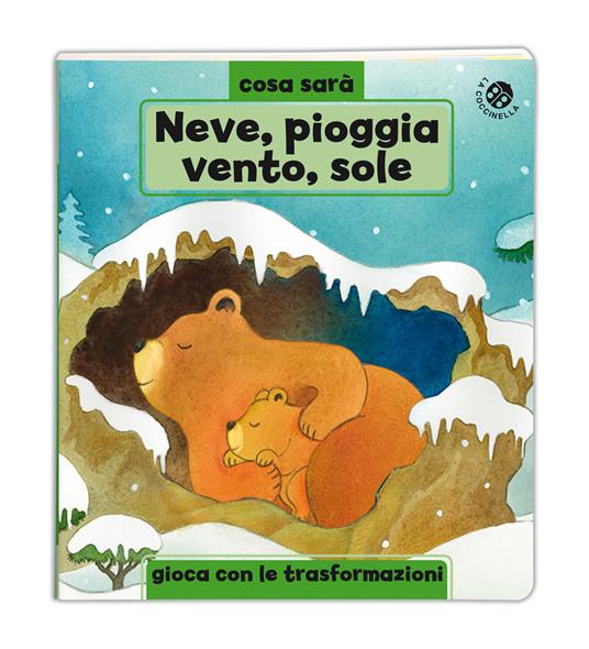Neve, pioggia, vento o sole? Le stagioni. Ediz. a colori - Giuliano Ferri - 6