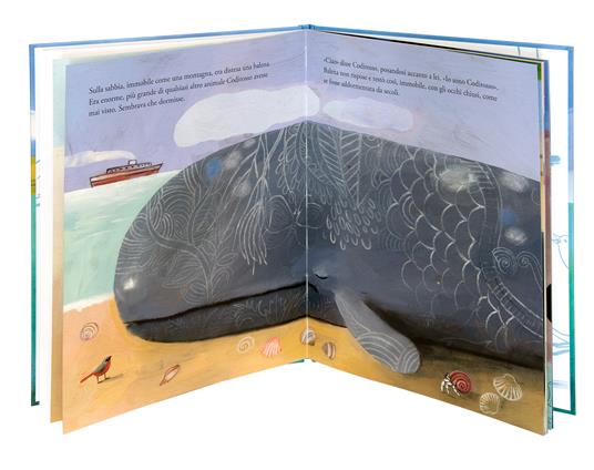 Solo una goccia. Storia di una balena e del pettirosso che voleva salvarla. Ediz. a colori - Gabriele Clima,Simona Mulazzani - 3