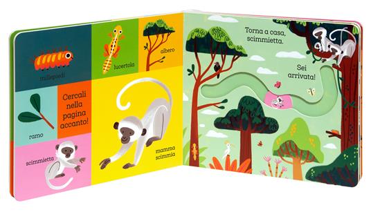 Torna a casa leoncino. Ediz. a colori - 3