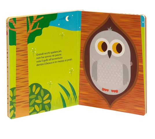 Nel bosco. Ediz. a colori - Gabriele Clima,Agnese Baruzzi - 6