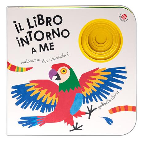 Il libro intorno a me. Ediz. a colori - Gabriele Clima - copertina