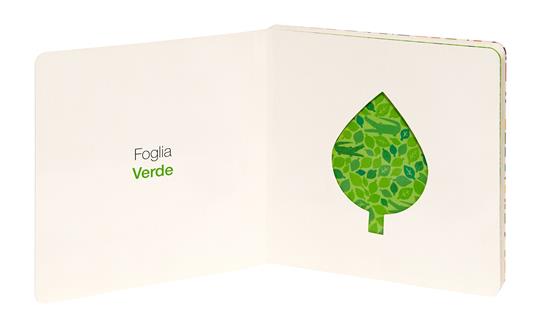 Colori. Ediz. a colori - Chihiro Takeuchi - 8