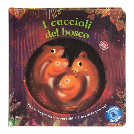 Solleva e scopri i cuccioli del bosco. Tira la linguetta e scopri chi c'è nel nido pop-up! Ediz. a colori - 2