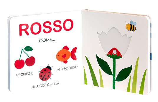 I colori. Ediz. a colori - Gabriele Clima - 5