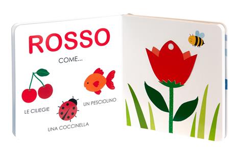 I colori. Ediz. a colori - Gabriele Clima - 6