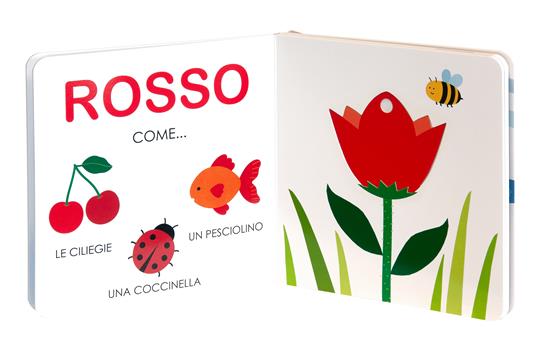 I colori. Ediz. a colori - Gabriele Clima - 6