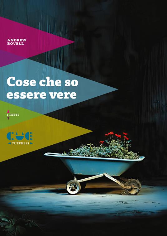 Cose che so essere vere - Andrew Bovell - copertina