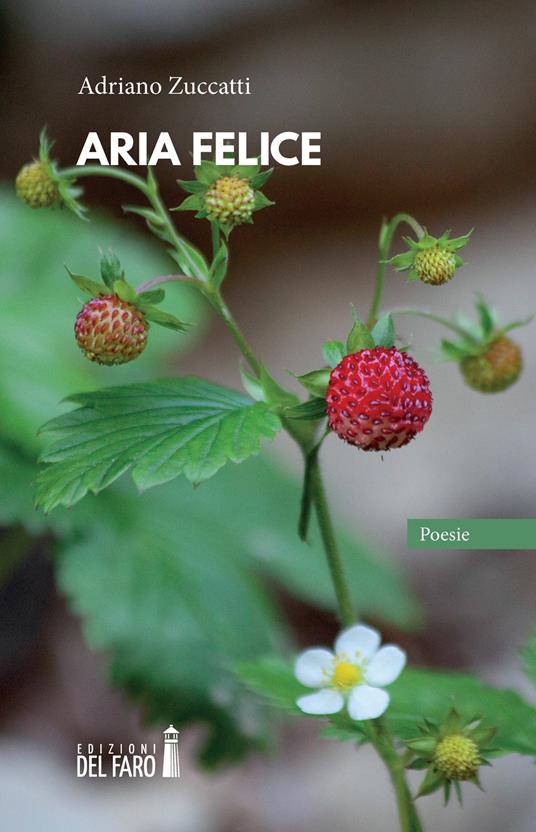Aria felice - Adriano Zuccatti - copertina