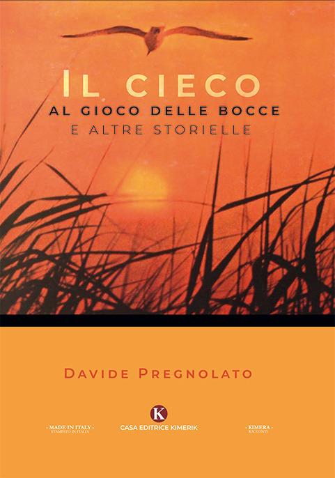 Il cieco al gioco delle bocce e altre storielle - Davide Pregnolato - copertina