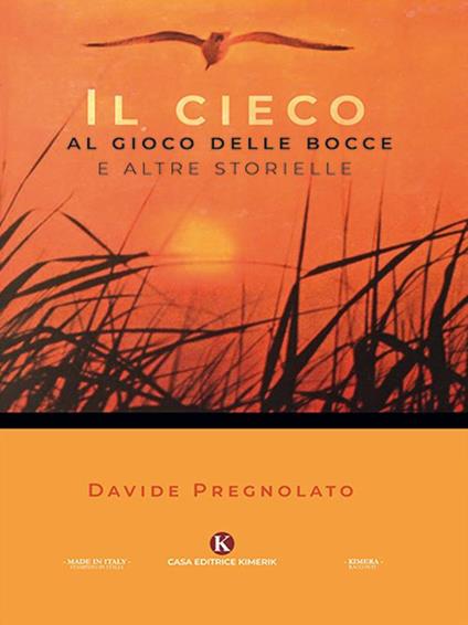 Il cieco al gioco delle bocce e altre storielle - Davide Pregnolato - ebook