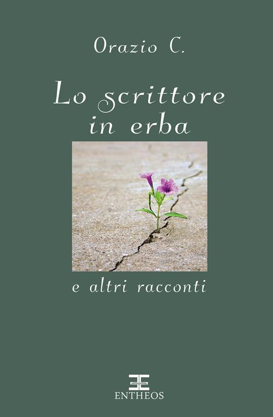 Lo scrittore in erba e altri racconti. Nuova ediz. - Orazio C. - copertina