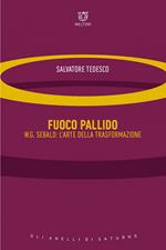 Fuoco pallido. W.G. Sebald: l'arte della trasformazione