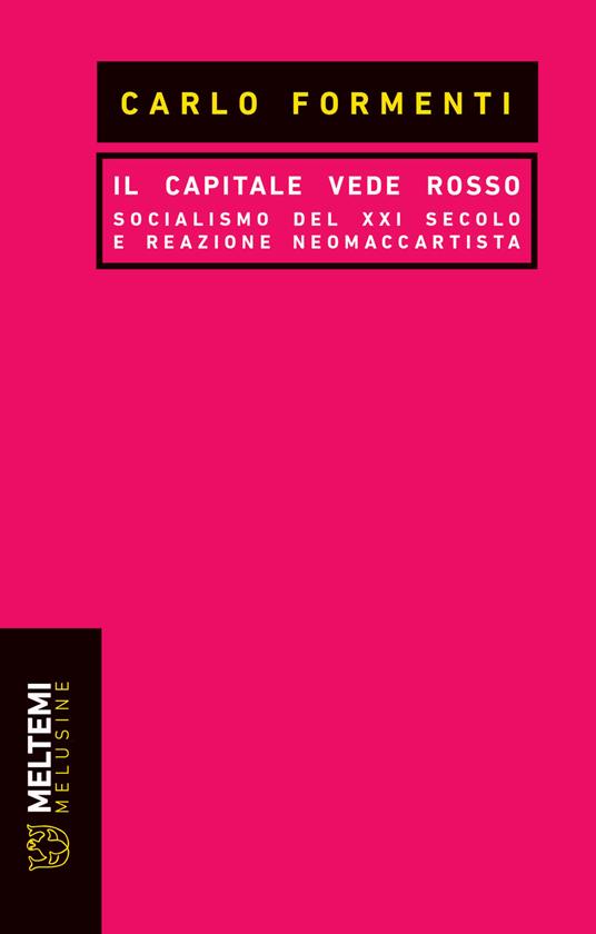 Il capitale vede rosso. Socialismo del XXI secolo e reazione neomaccartista - Carlo Formenti - copertina