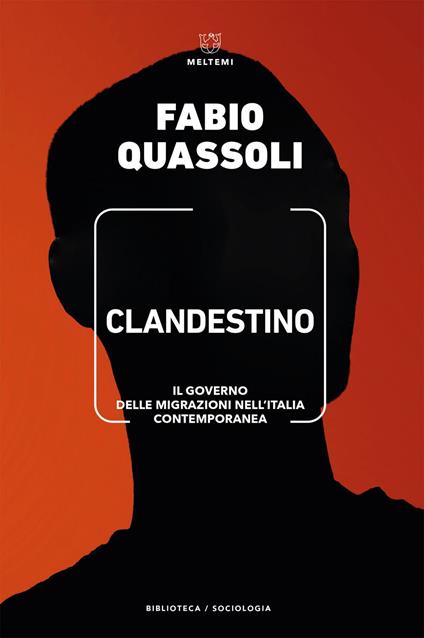 Clandestino. Il governo delle migrazioni nell'Italia contemporanea - Fabio Quassoli - ebook