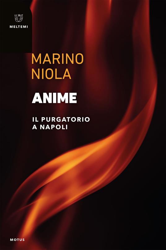 Anime. Il purgatorio a Napoli - Marino Niola - ebook
