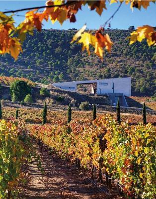 The World Winery Collection. Innovative design, sustainability and the landscape - copertina